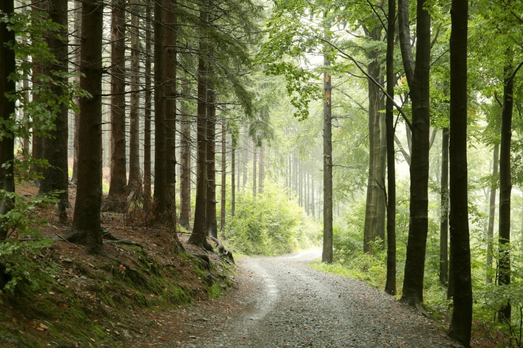 My Journey to Becoming a Writer 1 journey of becoming a writer